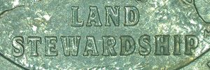 2020-D-Washington-Quarter-M-B-R-Possible-Doubling-On-Reverse